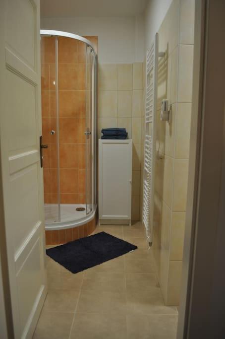 Apartment In Praha 3 Eksteriør billede